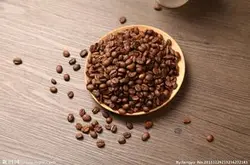 剛種出來的咖啡豆是什麼樣的?提取物是什麼