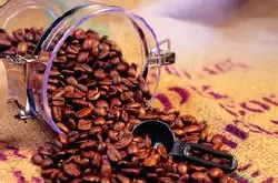 咖啡豆生拼與熟拼生長過程烘焙程度品種口感介紹