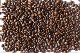 卡蒂姆咖啡口感品種特點產地區處理法莊園介紹