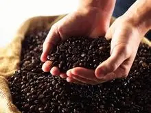 現磨咖啡機磨豆一般刻度調到幾-德龍咖啡機研磨器堵塞