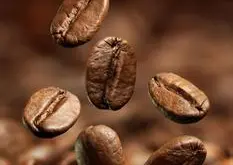 巴拿馬瑰夏莊園展望紅寶石咖啡豆的風味描述口感介紹