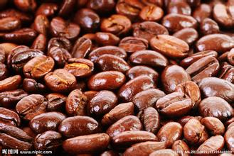 雲南鐵皮卡咖啡風味描述研磨刻度品種喫飯區介紹