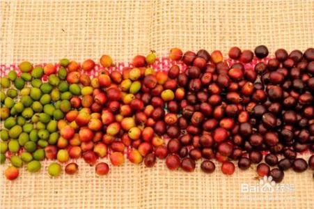 星巴克咖啡豆研磨刻度品種產地區處理法口感莊園介紹