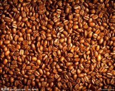 耶加雪菲咖啡品種風味描述研磨刻度產地區處理法莊園口感介紹