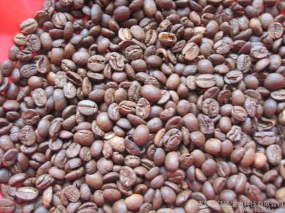 對氣候環境的要求更高小粒咖啡在西藏引種試種