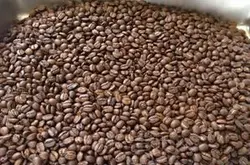 保山市小粒咖啡發展歷史和發展現狀