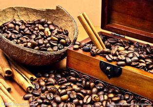 中國咖啡發展迅猛種植面積和總產量有着質的突破
