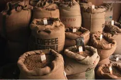 爲了在咖啡行業佔據有利地位-咖啡企業該如何向市場投入新產品