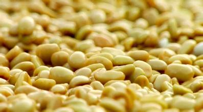 巴拿馬翡翠莊園卡杜艾瑰夏咖啡豆的風味描述研磨刻度處理法介紹