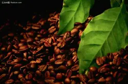 中國市場的巨大潛力受到了印尼咖啡企業的關注