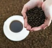 咖啡生豆級別區分-星巴克咖啡豆磨粉級別