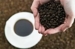 咖啡生豆級別區分-星巴克咖啡豆磨粉級別