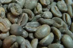 意式咖啡什麼時候放糖-意式咖啡製作方法