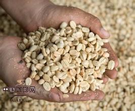 咖啡豆的等級-咖啡豆的儲存方法研磨器黃金曼特寧咖啡豆