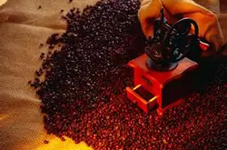 咖啡油脂是怎麼形成的-手衝咖啡怎麼衝出油脂