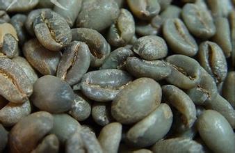 咖啡豆是咖啡果實的那一部分-咖啡豆怎麼做咖啡