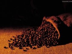 咖啡豆燭芒的幹香原莊園是哪裏主要的口感描述介紹