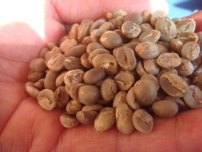 哥倫比亞娜玲瓏咖啡豆的研磨刻度風味描述口感
