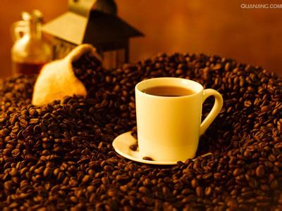 哥斯達黎加塔拉珠咖啡豆的特點口感處理法風味描述簡介