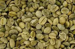 巴西摩吉安娜產區皇后莊園黃波旁咖啡豆的研磨刻度產地