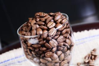 咖啡豆的各部分結構名稱