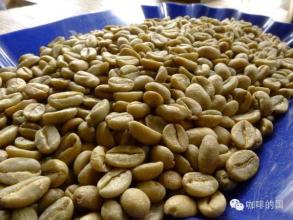 埃塞俄比亞西達摩夏奇索產區咖啡的年產量
