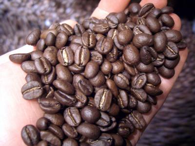 巴西黃波旁咖啡豆的口感風味描述處理法研磨刻度產地簡介