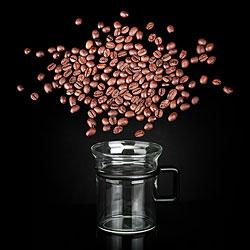 巴拿馬長尾鵑冠軍蜜處理咖啡豆燭芒風味描述特點研磨刻度