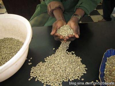 知名度越來越高的盧旺達洛斯剛果莊園咖啡的生產地