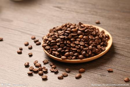 不同產國的咖啡豆品種2017雲南咖啡價格收購表