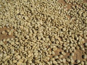 危地馬拉安提瓜花神精品咖啡豆的特點種植環境風味描述介紹
