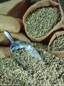 巴西官方預估今年會是一個咖啡豆大豐收年
