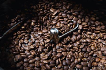 爲阿拉比卡混血品種巴拿馬蜜處理法卡社艾shb咖啡豆介紹