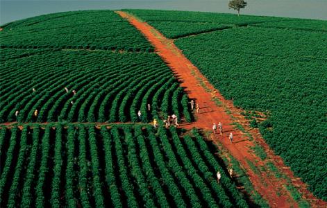 巴西有哪些咖啡莊園-品牌種植環境產地簡介