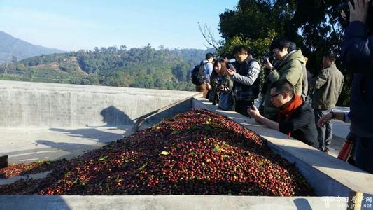 水洗法來處理的高品質洪都拉斯咖啡豆的風味描述