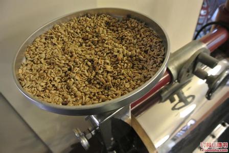 工業採用新技術來增加效率的哥斯達黎加精品咖啡豆