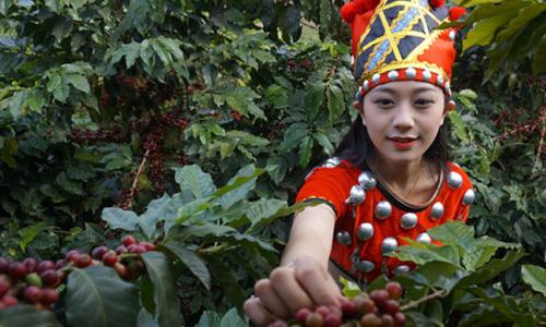 甜味較重的越南精品咖啡豆的口感風味描述特點
