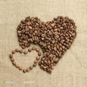 與藍山咖啡齊名的精品——坦桑尼亞咖啡