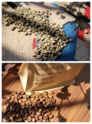 巴拿馬波奎特花蝴蝶咖啡豆—含有比藍山咖啡還貴的咖啡豆品種