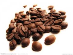 羅布斯塔咖啡豆的生長環境、特色與發展現狀