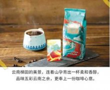 星巴克雲南咖啡豆在中國上市