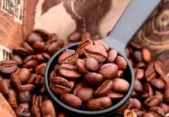阿里山咖啡豆-臺灣的驕傲 什麼臺灣咖啡質量好嗎？ 臺灣咖啡如何