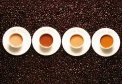 巴西黃波旁咖啡豆風味特點品種口感莊園種植情況研磨度處理法簡介