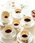 西達摩獅子王精品咖啡風味描述處理法品種特點種口感莊園簡介