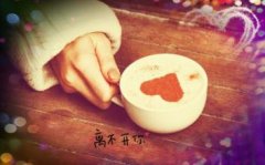 阿里山瑪翡咖啡臺灣精品咖啡豆歷史起源品種培育簡介