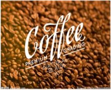 茂密森林的哥斯達黎加咖啡產區咖啡風味口感莊園產區特點處理法簡