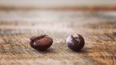 咖啡豆常識：咖啡公豆與母豆的概念和區別