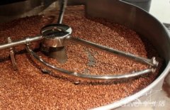 高山種植的咖啡-尼加拉瓜天意莊園咖啡的種植環境品種處理法簡介