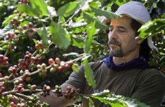 世界上最幸福的國家—哥斯達黎加的咖啡文化