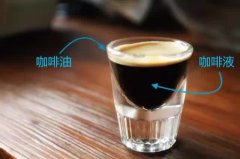 意式濃縮Espresso怎樣喝纔夠逼格？濃縮咖啡的正確喝法介紹